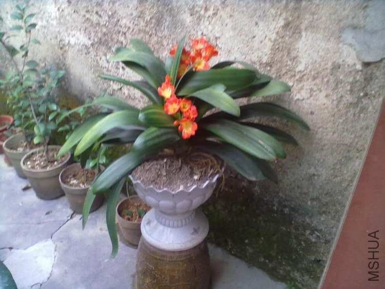 20130428214.jpg