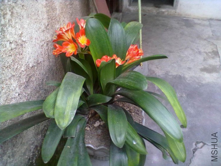 20130428215.jpg