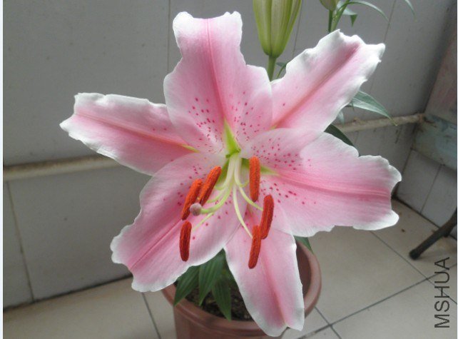 RO028HCKR9Y@6`WJ@{~YLOS.jpg