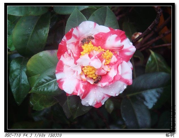 nEO_IMG_DSC00676.jpg