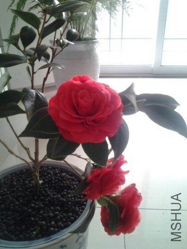 QQ��ͼ20130429093654.jpg