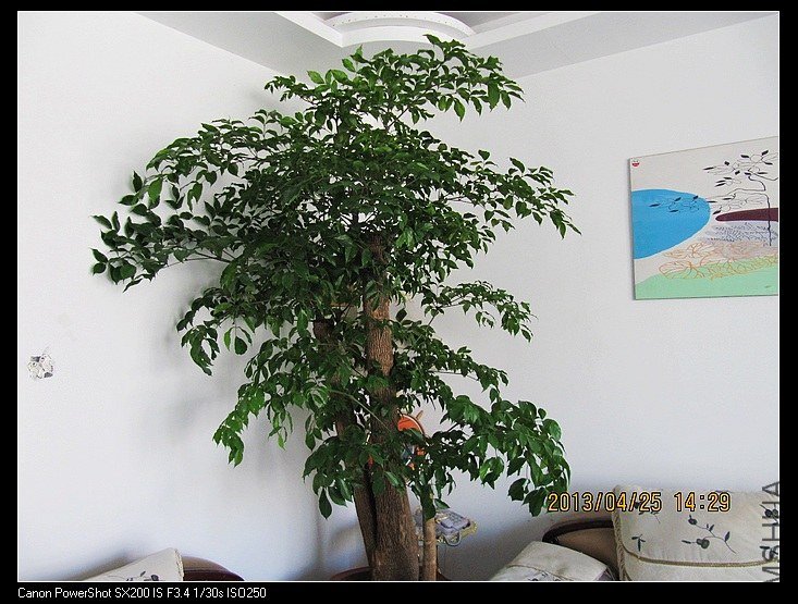 IMG_3524.jpg