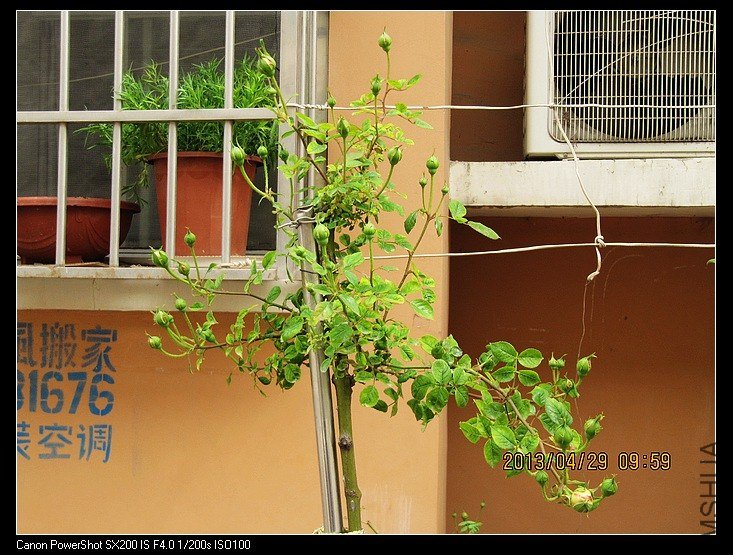 �ǲ����¸��е�����.jpg