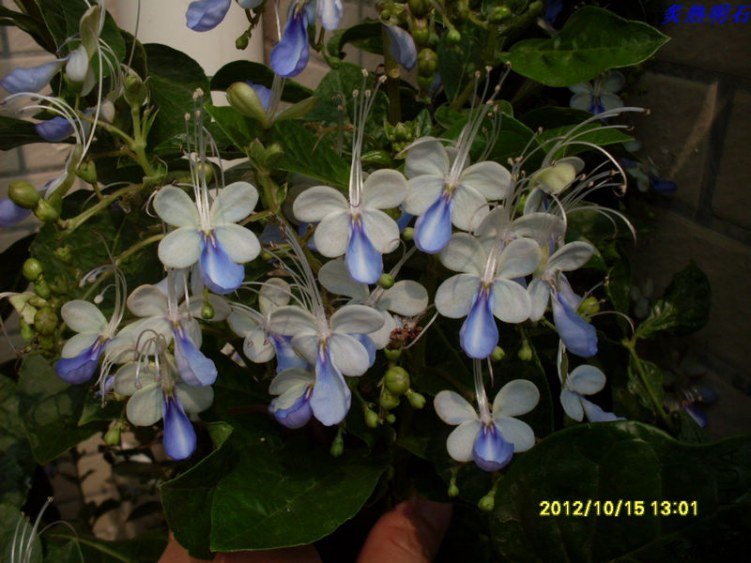 SDC13600_nEO_IMG.jpg