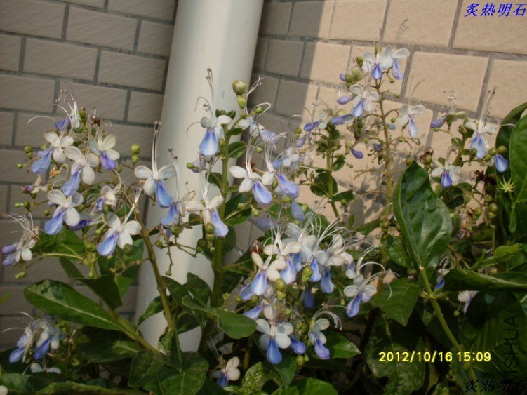 SDC13644_nEO_IMG.jpg
