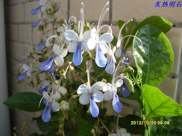 SDC13828_nEO_IMG_nEO_IMG.jpg