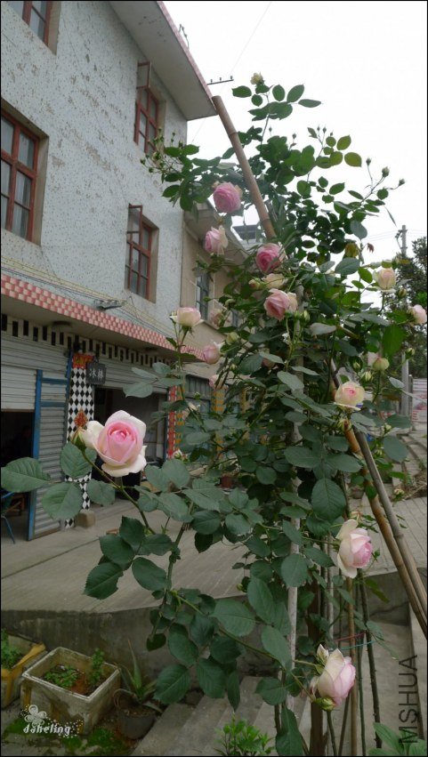 p1080397.jpg