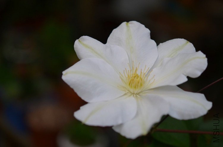 ������20130424 001.JPG