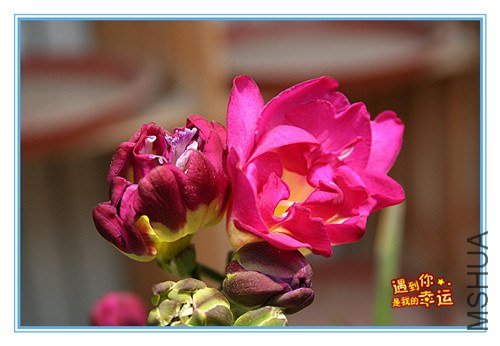 ��Ƭ 021_����.jpg