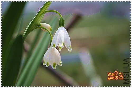 ��Ƭ 032_����.jpg