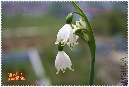 ��Ƭ 035_����.jpg