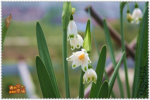 ��Ƭ 036_����.jpg