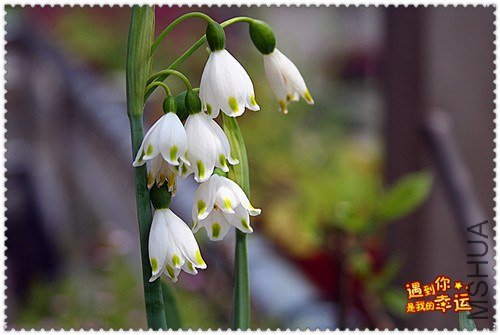 ��Ƭ 037a_����.jpg