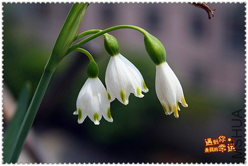 ��Ƭ 037b_����.jpg