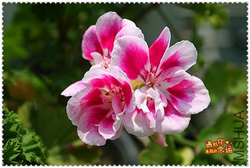 ��Ƭ 014_����.jpg