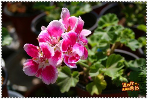 ��Ƭ 015_����.jpg