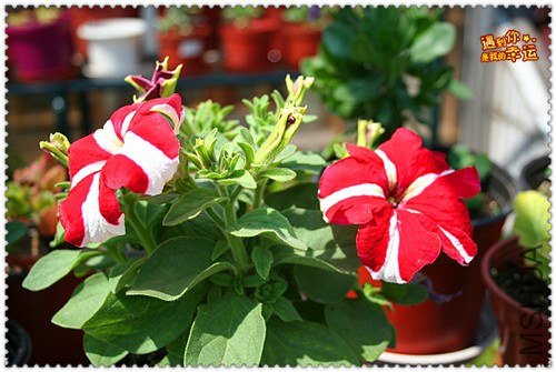 ��Ƭ 065_����.jpg