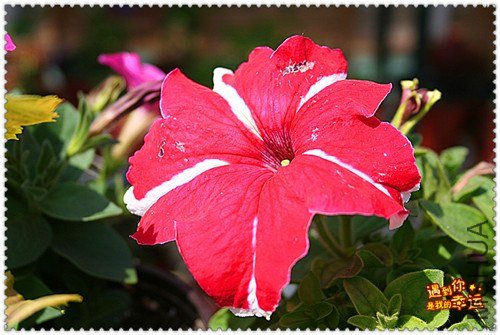 ��Ƭ 066_����.jpg