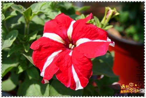 ��Ƭ 071_����.jpg