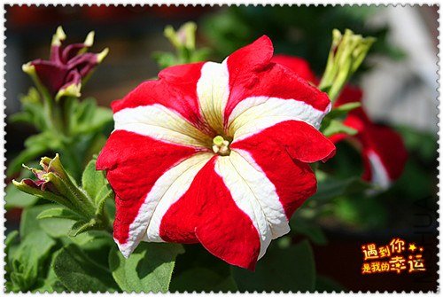 ��Ƭ 075_����.jpg