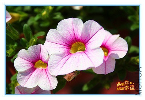 ��Ƭ 052_����.jpg