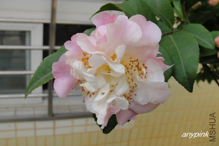 nEO_IMG_DSC09065.jpg