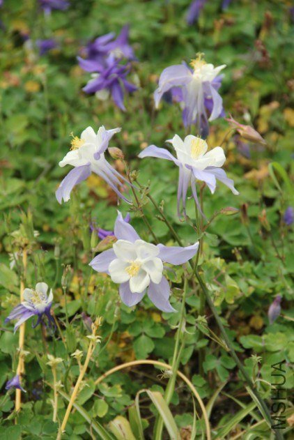 QQ��ͼ20130429202950.jpg