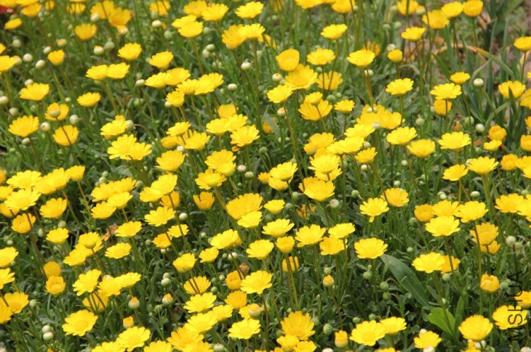 QQ��ͼ20130429202920.jpg
