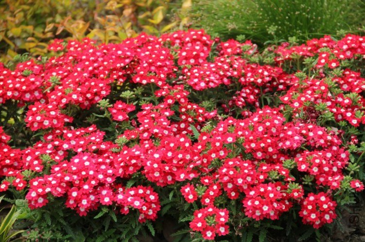 QQ��ͼ20130429202820.jpg