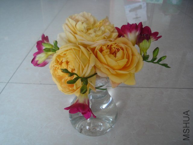 DSC09030.JPG