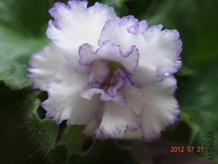 DSC00437.JPG