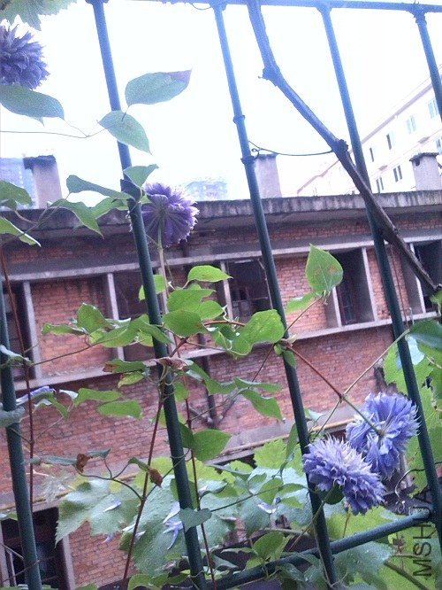 IMG_20130429_182932.jpg