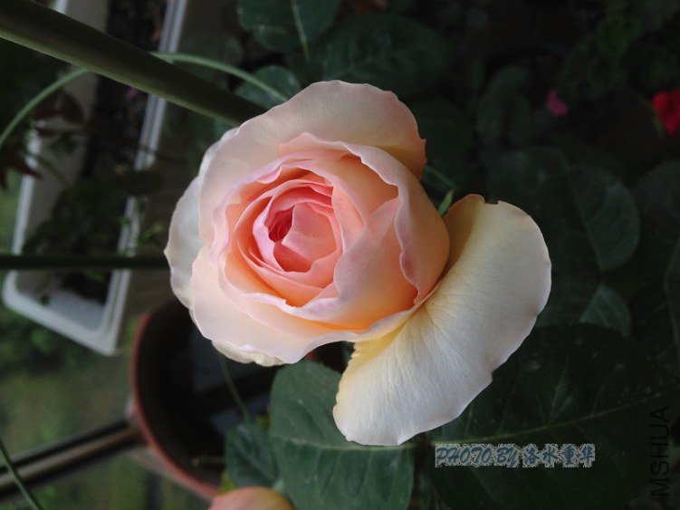 nEO_IMG_IMG_1022.jpg