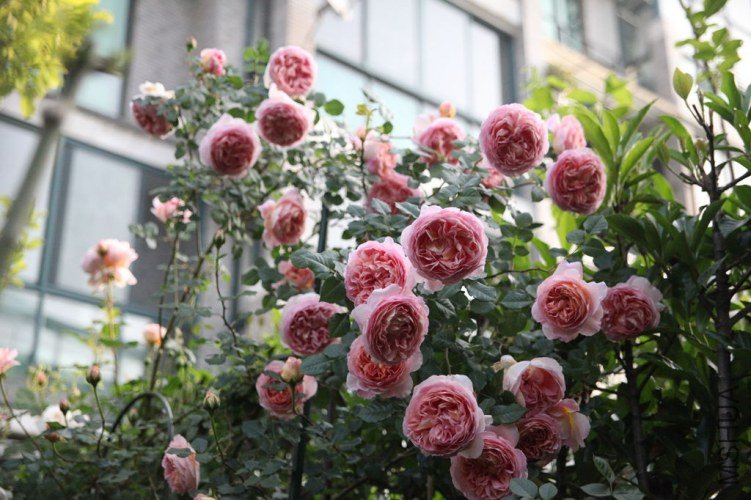 IMG_0394.JPG