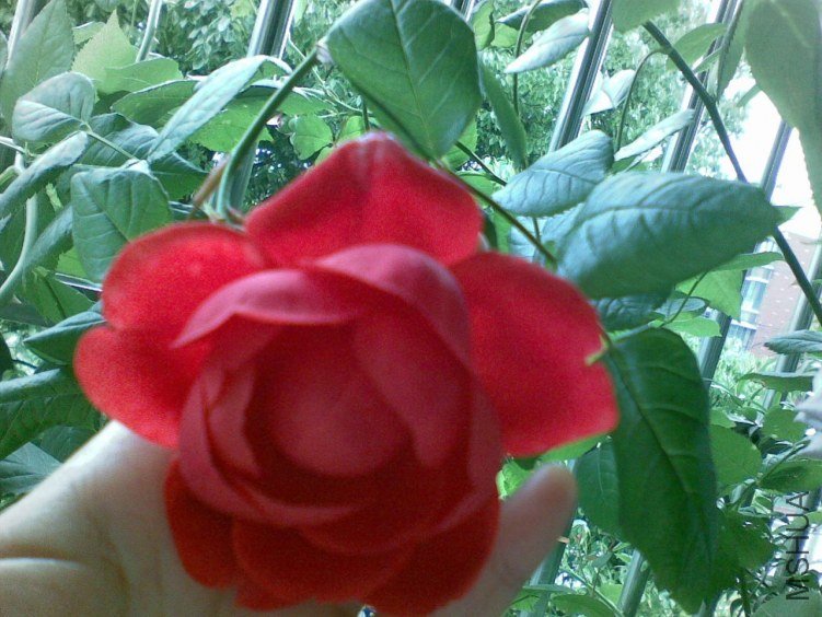 20130430.jpg