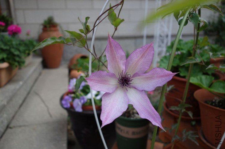 DSC00009.JPG
