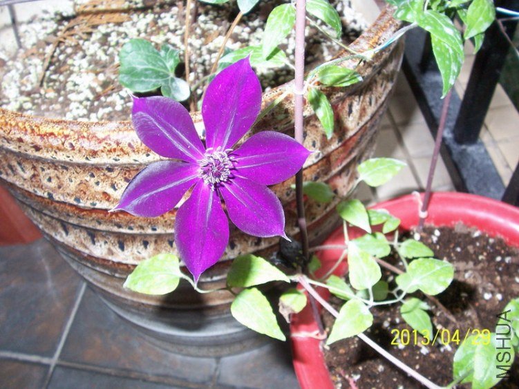 100_8002.JPG