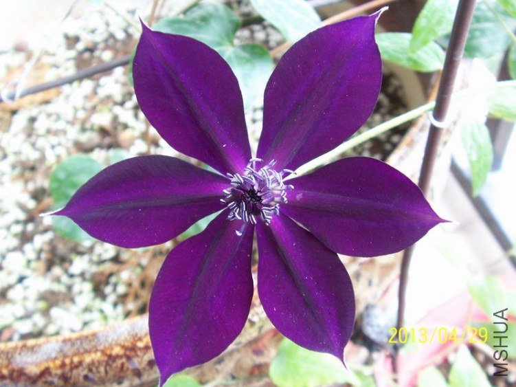 100_8014.JPG