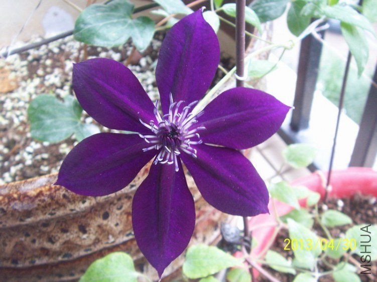 100_8030.JPG