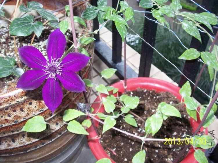 100_8035.JPG