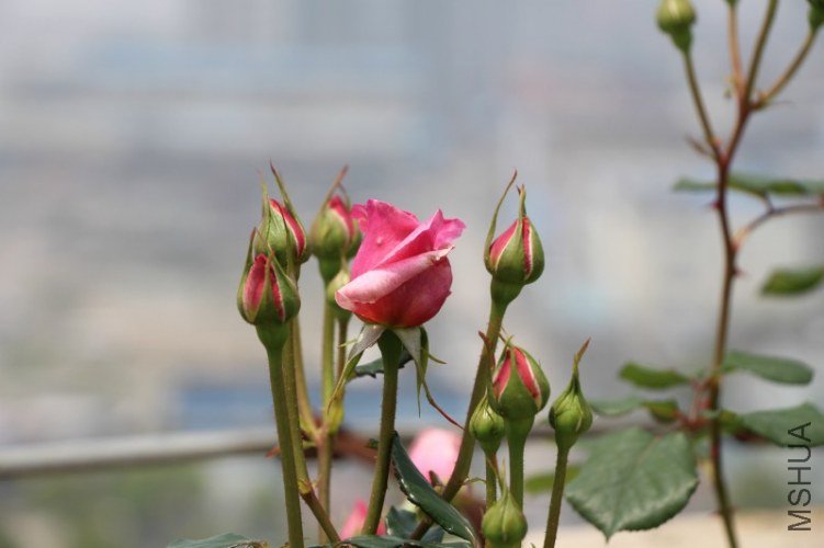 65.jpg