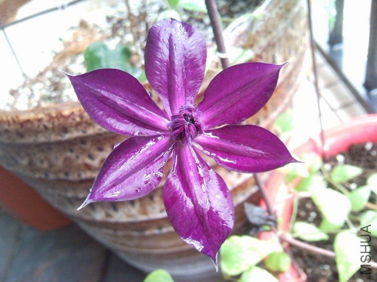 130429_081403.JPG