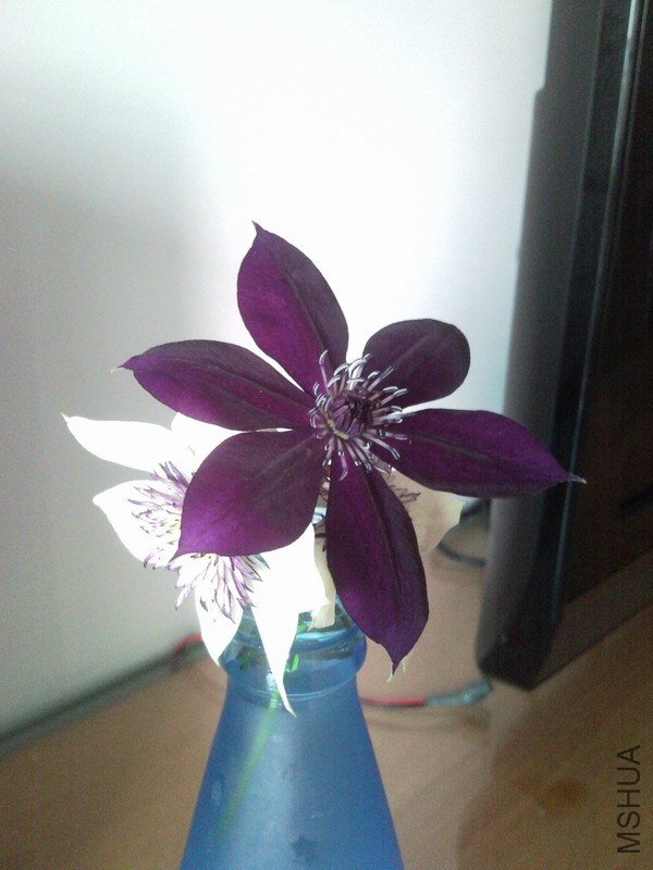 130430_073943.JPG