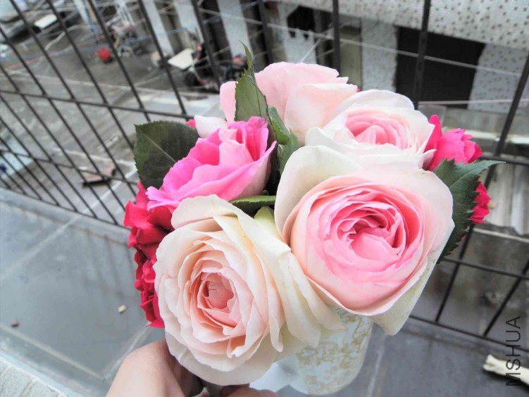 DSCN8965.JPG