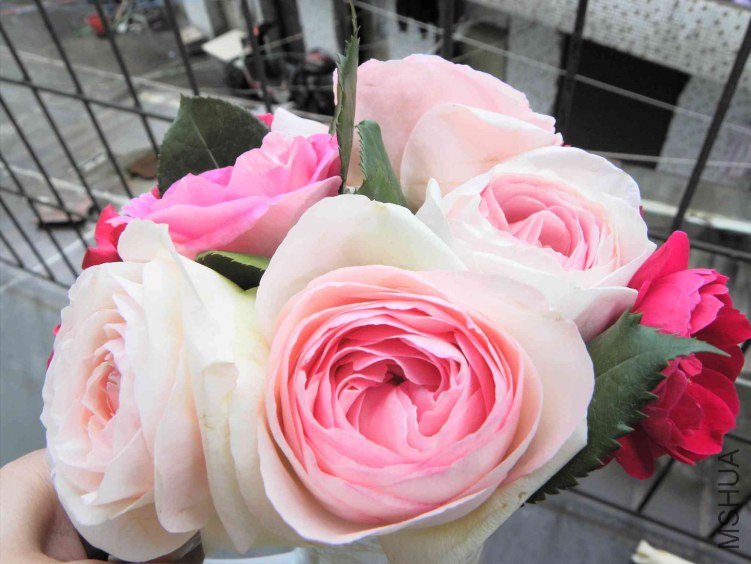 DSCN8966.JPG