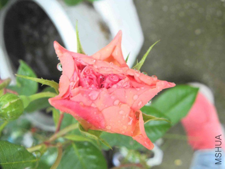 DSCN8960.JPG