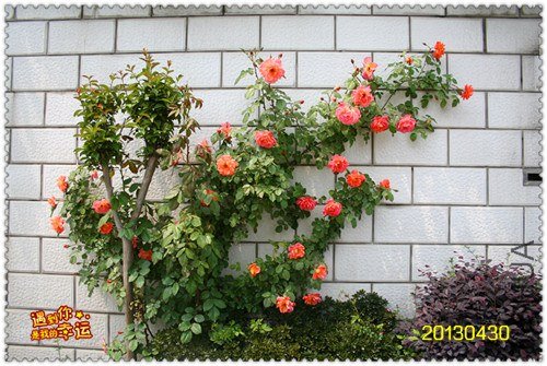 ��Ƭ 058B_����.jpg