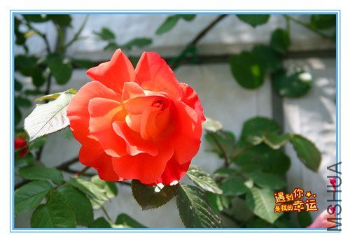 ��Ƭ 60_����.jpg