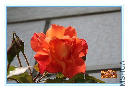 ��Ƭ 061_����.jpg