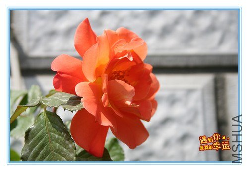 ��Ƭ 062_����.jpg